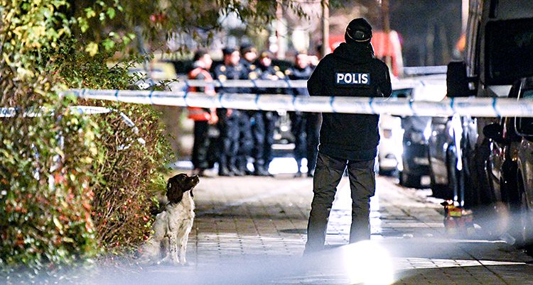 En polis och en polishund står bakom polisernas avspärrningar i Malmö. I bakgrunden syns fler poliser.