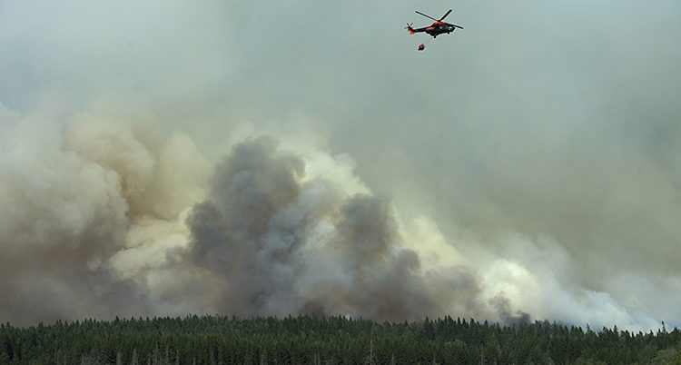 En helikopter bombar skogen med vatten. Det ryker från skogen.