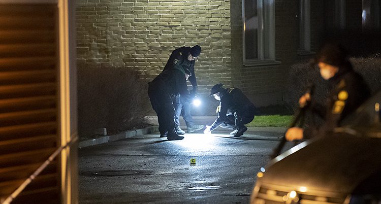 Poliser med ficklampor letar på marken.