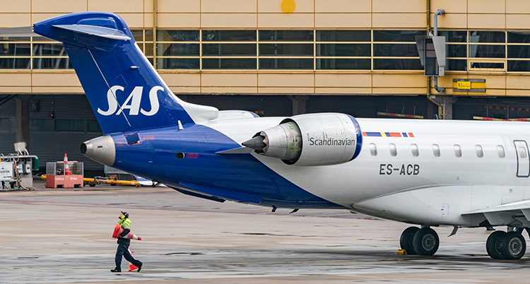 Ett flygplan där det står SAS på stjärten står parkerat på en terminal.