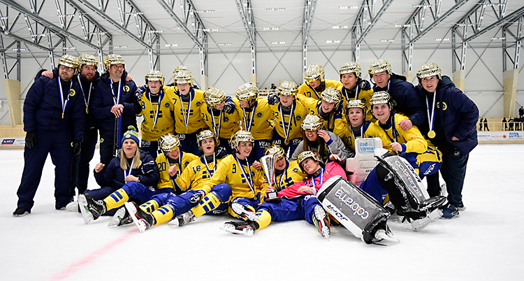 Sveriges laghar vunnit finalen. De står tillsammans på isen. De har guldhjälmar på sig.