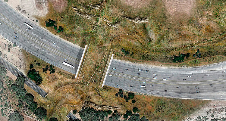 En bild ovanifrån visar bron över motorvägen