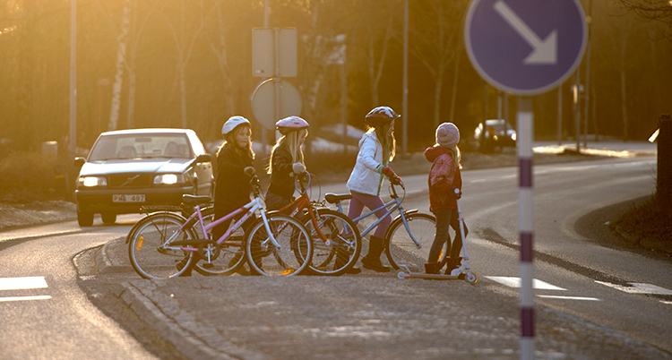 Barn med cyklar och hjälmar går över en väg.