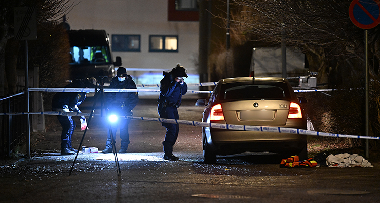 En bild på natten. Några poliser undersöker marken.