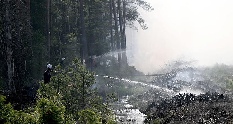 Han håller i en brandslang. Han sprutar vatten mot skogen.