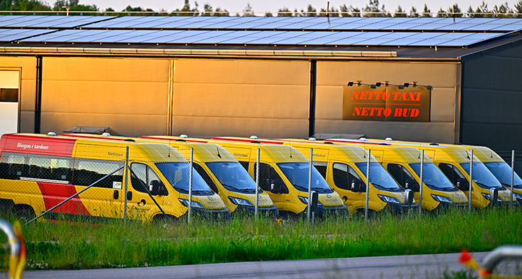 Sju bussar står parkerade på rad.