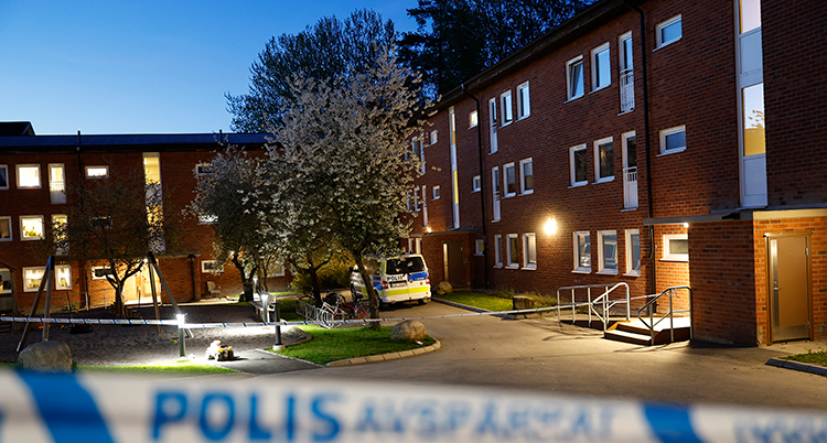 Hus med lägenheter. En polisbil står framför ett av husen.