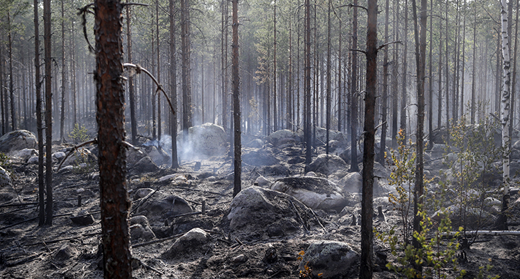 Det ryker och några flammor syns i marken.