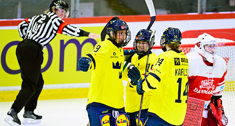 Glada spelare i ishockey jublar.